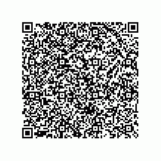 vCard 73825733173