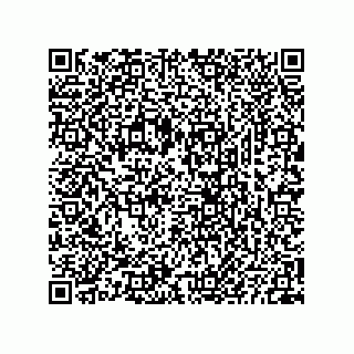 vCard 73825733175