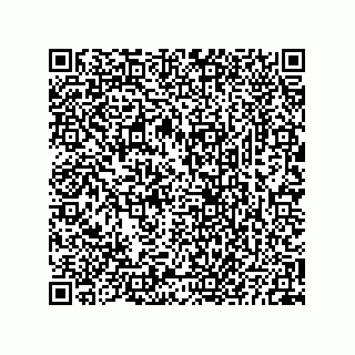 vCard 73825733177