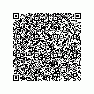 vCard 73825733180