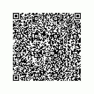 vCard 73825733181