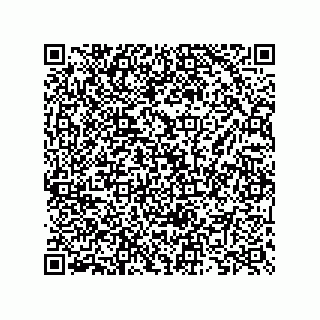 vCard 73825733183