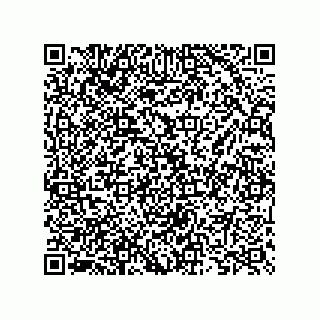vCard 73825733184