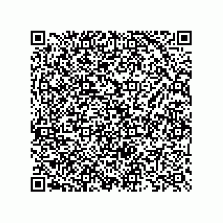 vCard 73825733185