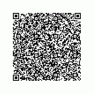 vCard 73825733187