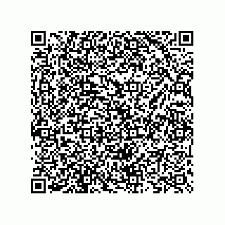 vCard 73825733196
