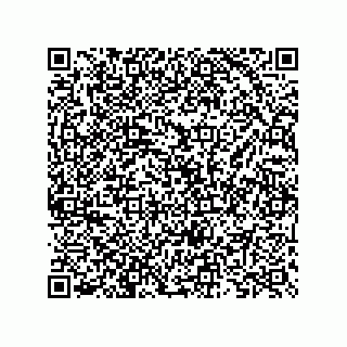vCard 73825733197