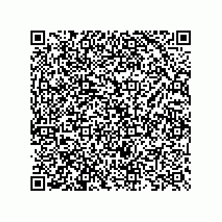 vCard 73825733199