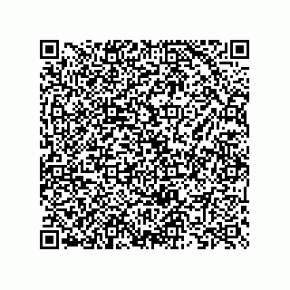 vCard 73825733200