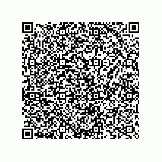 vCard 73825733203