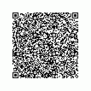 vCard 73825733204
