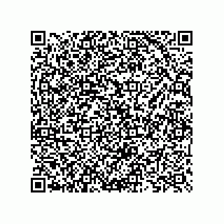 vCard 73825733207