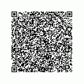 vCard 73825733208