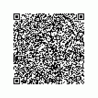 vCard 73825733209