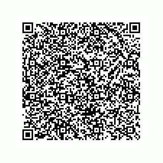 vCard 73825733210