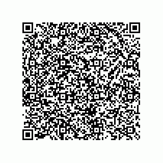 vCard 73825733211