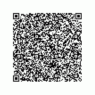 vCard 73825733213