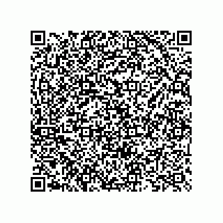 vCard 73825733217