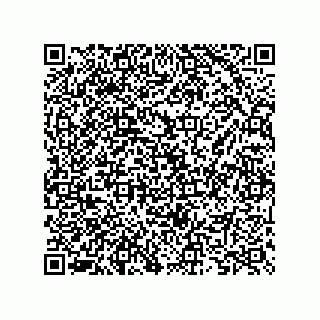 vCard 73825733219