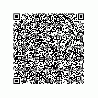 vCard 73825733221