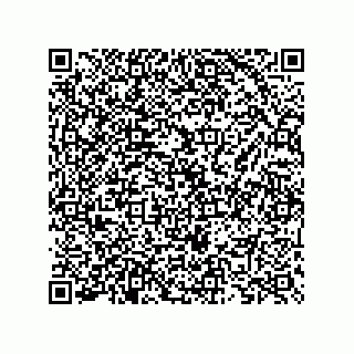 vCard 73825733231