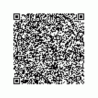 vCard 73825733234