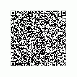 vCard 73825733235