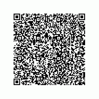 vCard 73825733241