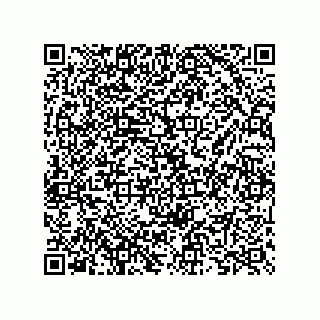 vCard 73825733245