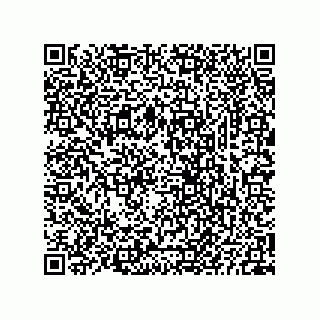vCard 73825733247