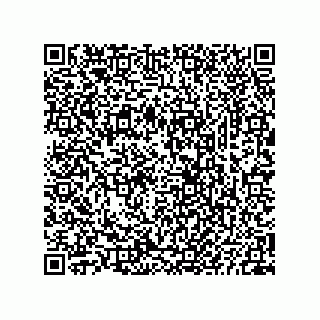 vCard 73825733248