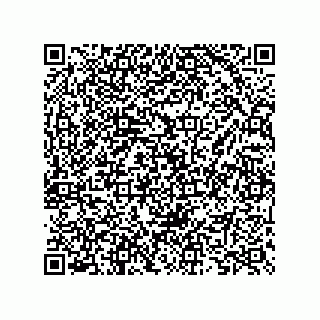 vCard 73825733249