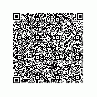 vCard 73825733250