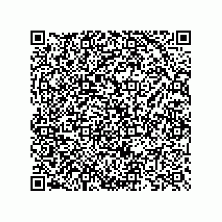 vCard 73825733252