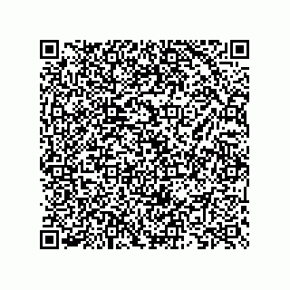 vCard 73825733253