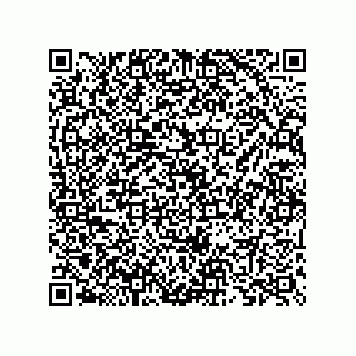 vCard 73825733254