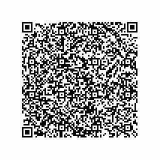 vCard 73825733258