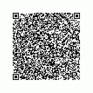 vCard 73825733259