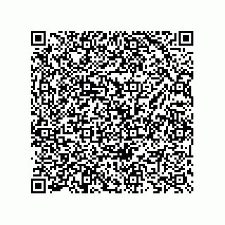 vCard 73825733261
