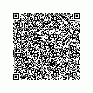 vCard 73825733263
