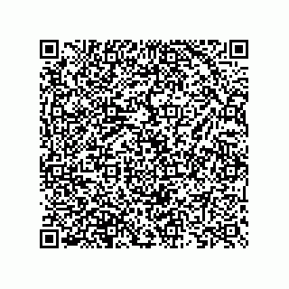 vCard 73825733264