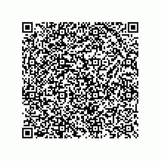 vCard 73825733265