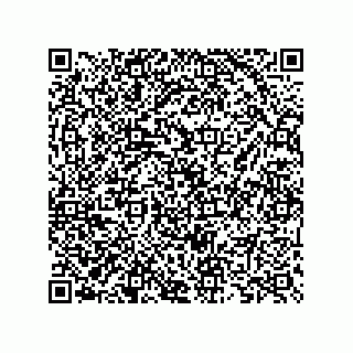vCard 73825733268