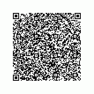 vCard 73825733269