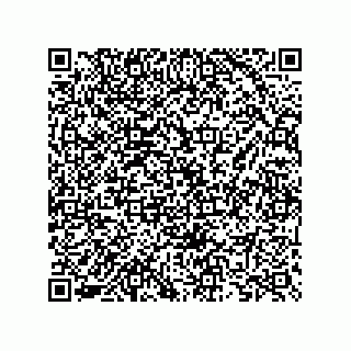 vCard 73825733270