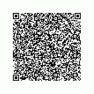 vCard 73825733271