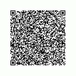 vCard 73825733272