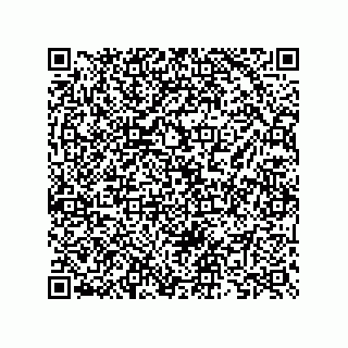 vCard 73825733273