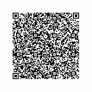 vCard 73825733274