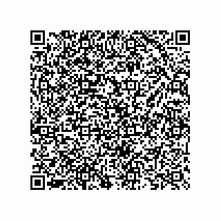 vCard 73825733275